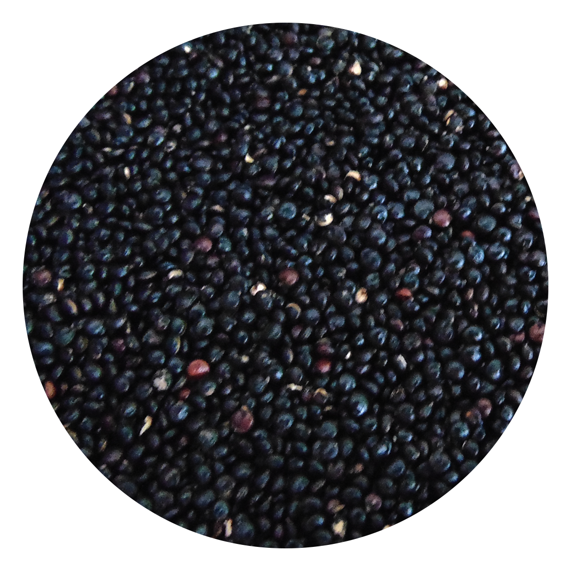 Quinoa Negra 25kg Innova